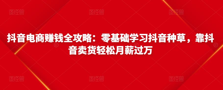 抖音电商赚钱全攻略:零基础学习抖音种草,靠抖音卖货轻松月薪过万-第一资源库