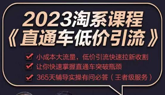 2023直通车低价引流玩法课程,小成本大流量,低价引流快速拉新收割,让你快速掌握直通车突破瓶颈-第一资源库