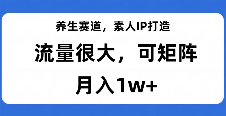 养生赛道,素人IP打造,流量很大,可矩阵,月入1w+【揭秘】-第一资源库