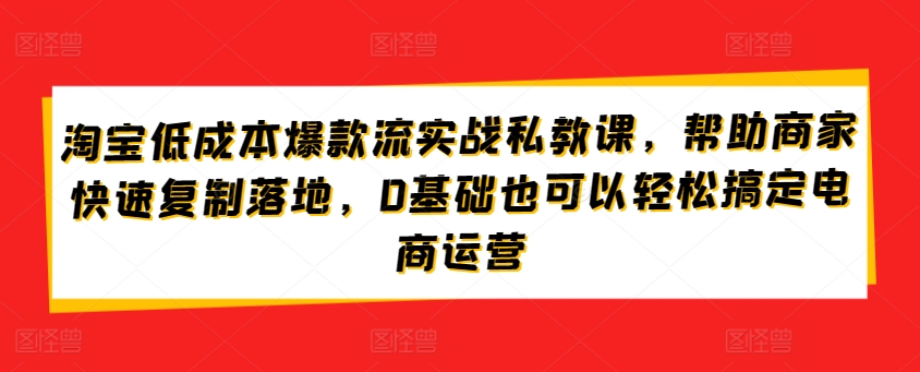 淘宝低成本爆款流实战私教课，帮助商家快速复制落地，0基础也可以轻松搞定电商运营-第一资源库