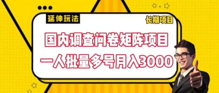 国内调查问卷矩阵项目，一人批量多号月入3000【揭秘】-第一资源库
