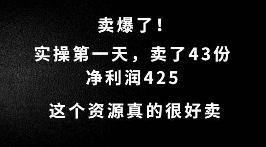 这个资源，需求很大，实操第一天卖了43份，净利润425【揭秘】-第一资源库