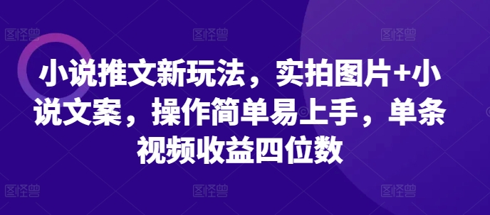 小说推文新玩法，实拍图片+小说文案，操作简单易上手，单条视频收益四位数-第一资源库