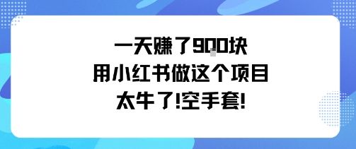 一天挣了9张用小红书做这个项目太牛了，空手套-第一资源库