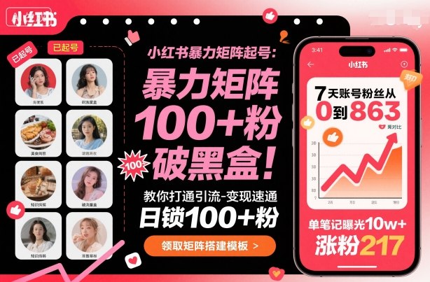 小红书暴力矩阵起号，教你打通引流-变现速通，日锁100+粉，破流量黑盒-第一资源库