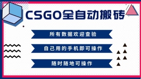 CSGO全自动搬砖，年底钱回家好项目，当天可拿到结果，新手小白轻松月入1W+【揭秘】-第一资源库