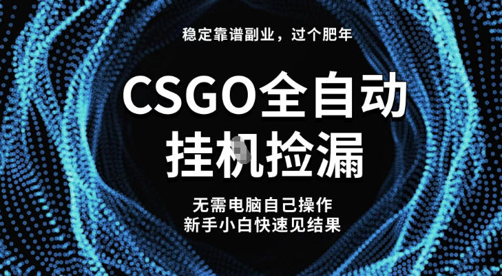 【稳定副业】全球最热门游戏CSGO全自动捡漏，最新玩法，新手小白日入5张+【揭秘】-第一资源库