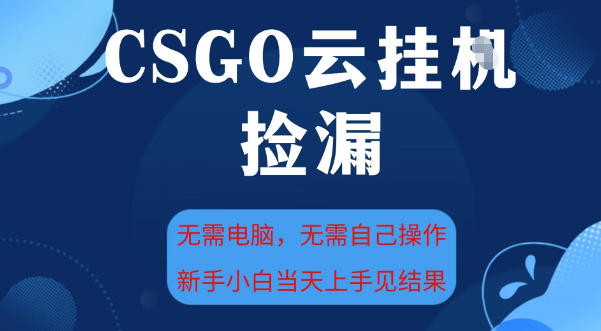 CSGO云挂G全自动捡漏，最新独家玩法，无需电脑操作，新手小白日入5张+【揭秘】-第一资源库