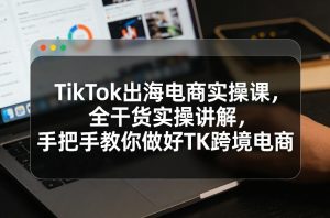 TikTok出海电商实操课，全干货实操讲解，手把手教你做好TK跨境电商-第一资源库