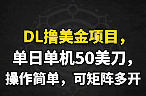 DL撸美金项目，单日单机50美刀，操作简单，可矩阵多开-第一资源库