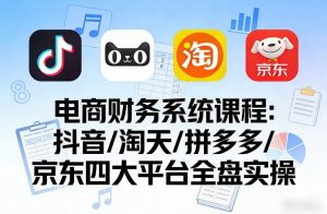 电商财务系统课程，覆盖抖音、淘天、拼多多、京东四大主流平台的全盘实操-第一资源库
