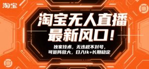 淘宝无人直播最新风口！独家技术，无违规不封号，可矩阵放大，日入1k+长期稳定【揭秘】-第一资源库