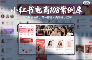小红书电商108案例库，百W利润分析，带一部分人先冲进小红书【文档】-第一资源库