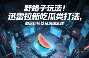 野路子玩法！迅雷拉新吃瓜类打法，截流自热以及后端处理-第一资源库