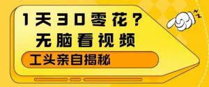 1天30零花？无脑看视频，大佬亲自揭秘-第一资源库