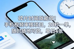 碎片时间就能做！手机视频审核项目，20秒一单，随时随地可做，单日4张+【揭秘】-第一资源库