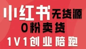 小红书无货源0粉电商课，开店准备、选品策略、笔记撰写、视频剪辑、数据分析、账号打造、资料文档（更新26年2月）-第一资源库