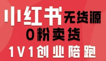 小红书无货源0粉电商课，开店准备、选品策略、笔记撰写、视频剪辑、数据分析、账号打造、资料文档（更新26年2月）-第一资源库