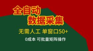 全自动数据采集项目，无需人工，单窗口可达50+收益，操作简单无难度，一个人也能轻松实现矩阵【揭秘】-第一资源库