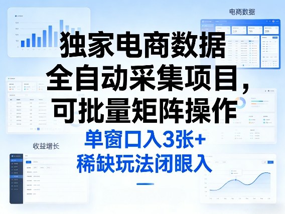 独家电商数据全自动采集项目，可批量矩阵操作，单窗口日入3张+，稀缺玩法闭眼入【揭秘】-第一资源库