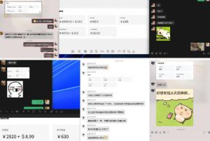 雷神加速器项目模拟器_无脑1分钟1条视频矩阵_疯狂报单打法【焚诀】-第一资源库