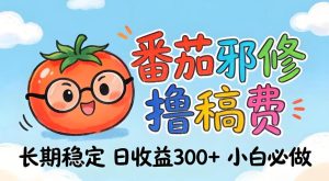 番茄撸金术：日入300+稳如泰山！独家玩法曝光，操作门槛极低，无需经验，小白闭眼上车【揭秘】-第一资源库