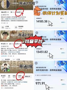 抖音17W粉丝博主亲授AI作图实战教学，0基础轻松学，可入创作者伙伴计划，接单收徒双增收-第一资源库