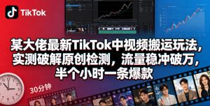 某大佬最新TikTok中视频搬运玩法，实测破解原创检测，流量稳冲破万，半个小时一条爆款-第一资源库