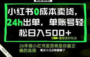 小红书0成本AI卖货，24小时出单，全流程托管，保底日入500+，每天十几分钟就够了【揭秘】-第一资源库