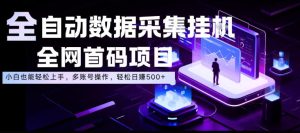 全自动数据采集挂G,全网首码项目,简单易操作,小白也能轻松上手,多账号操作,轻松日入500+【揭秘】-第一资源库