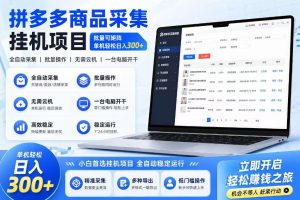 拼多多商品信息采集挂G项目，批量可矩阵，单机轻松日入300+，长期稳定【揭秘】-第一资源库