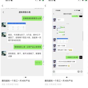薅流虚拟2.0陪跑课,0成本AI流程化操作,淘宝+闲鱼同步玩法,上一次货两个平台有收益,单店每天200纯利润-第一资源库