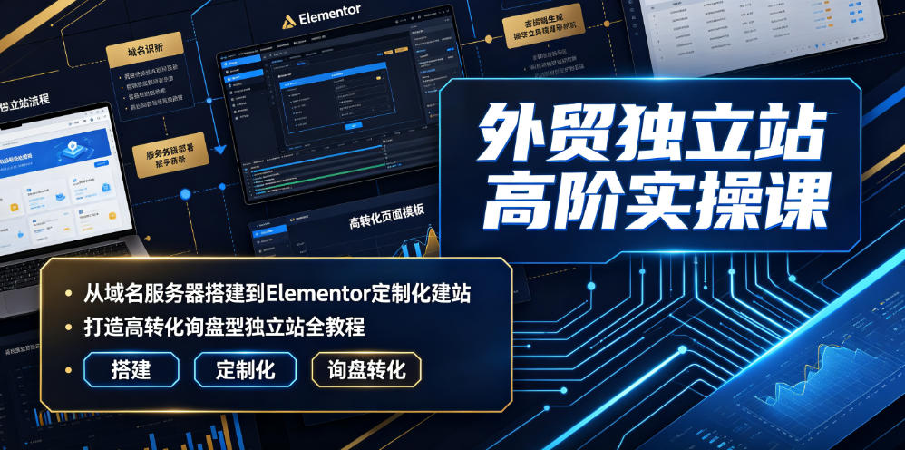 外贸独立站高阶实操课｜从域名服务器搭建到Elementor定制化建站，打造高转化询盘型独立站全教程-第一资源库