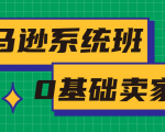 亚马逊系统班，专为0基础卖家量身打造，亚马逊运营流程与架构-第一资源库