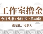 工作室撸金二件套：撸今日头条原创收益+小红书一单利润40块项目-第一资源库