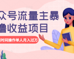 公众号流量主暴利撸收益项目，空闲时间操作单人月入过万-第一资源库