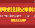 视频号短视频文案训练营：0基础小白如何建立视频号，上热门，能卖货！-第一资源库