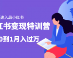 小红书变现特训营：带你快速入局小红书，从0到1月入过万-第一资源库