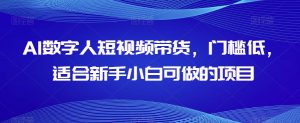 AI数字人短视频带货，门槛低，适合新手小白可做的项目-第一资源库