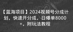 【蓝海项目】2024视频号分成计划，快速开分成，日爆单8000+，附玩法教程-第一资源库