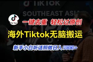 海外Tiktok短视频无脑搬运，一键去重轻松过原创，新手小白听话照做日入几张【揭秘】-第一资源库