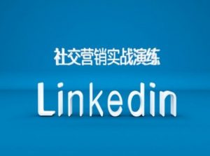 社交营销实战演练之Linkedin营销课程，B2B跨境外贸的新出路-第一资源库