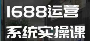 1688高阶运营系统实操课，快速掌握1688店铺运营的核心玩法-第一资源库