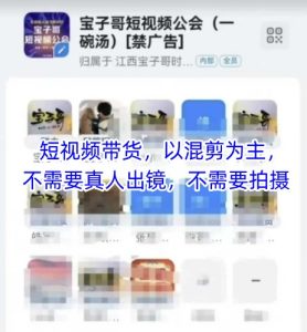 宝子哥头部团队短视频带货，以混剪为主，不需要真人出镜，不需要拍摄【更新9月】-第一资源库