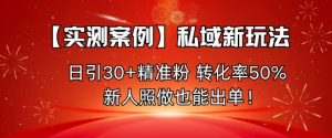 【实测案例】私域新玩法，日引30+精准粉，转化率50%，新人照做也能出单！-第一资源库