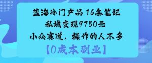 蓝海冷门产品：16条笔记私域变现9750米小众赛道，操作的人不多-第一资源库