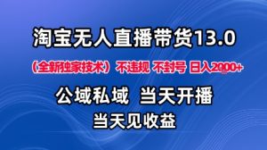 淘宝无人直播13.0，公域私域技术，不封号，不违规布局下半年旺季赛道，日入1K+（独家技术）【揭秘】-第一资源库