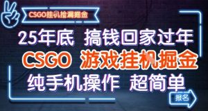25年底搞钱回家过年，CSGO游戏挂G掘金，纯手机操作超简单【揭秘】-第一资源库