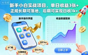 新手小白实战项目，单日收益3张+，正规长期可落地，后期可实现日收1k+【揭秘】-第一资源库