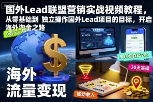 国外Lead联盟营销实战视频教程，从零基础到独立操作国外Lead项目的目标，开启海外淘金之路-第一资源库